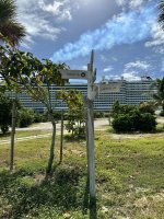 IMG_2181.jpeg