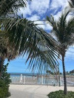 IMG_9023.jpeg