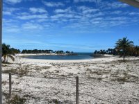 IMG_9029.jpeg