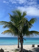 IMG_9040.jpeg