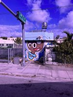 IMG_2419.jpeg