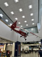 IMG_2430.jpeg