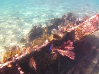 IMG_5481.jpeg