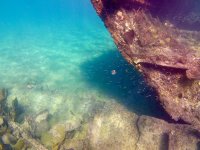 IMG_5603.jpeg