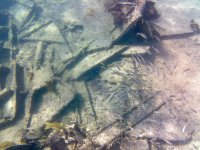 IMG_5670.jpeg