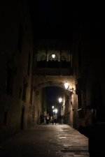 IMG_4249.JPG