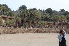 IMG_4265.JPG