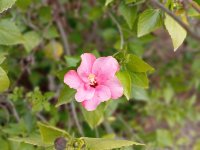 IMG_20240406_095748.jpg