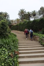 IMG_4298.JPG