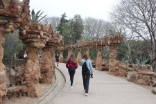 IMG_4341.JPG