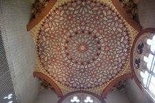 IMG_4398.JPG