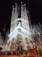 IMG_20240406_222400.jpg