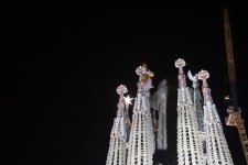 IMG_4529.JPG