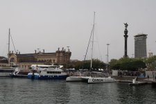 IMG_4568.JPG