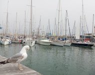 IMG_20240407_191655.jpg