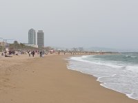 IMG_20240407_141217.jpg