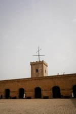 _1170928-2.jpg