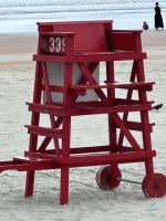 IMG_3803.jpeg