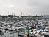 IMG_20240801_072321.jpg