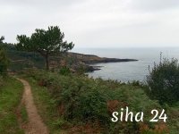 IMG_20240801_092747.jpg
