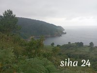 IMG_20240801_133902.jpg