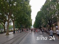IMG_20240801_185024.jpg