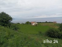 IMG_20240802_100632.jpg