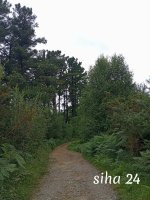 IMG_20240802_110701.jpg