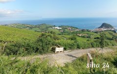 IMG_20240803_101537_stitch.jpg