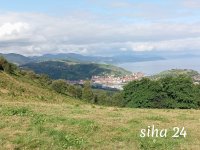 IMG_20240803_105244.jpg