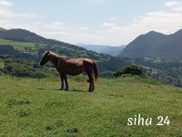 IMG_20240803_152938.jpg