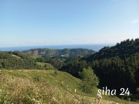 IMG_20240804_095224.jpg