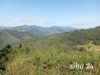 IMG_20240804_105411.jpg