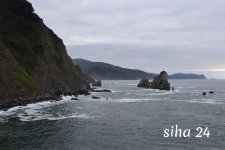IMG_5390.jpg IMG_5390.jpg