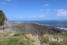 IMG_5436.jpg