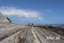 IMG_5452.jpg