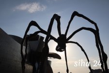 IMG_5545.jpg