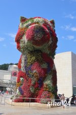 IMG_5483.jpg