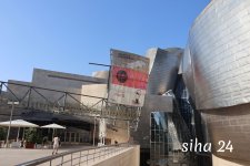 IMG_5538.jpg