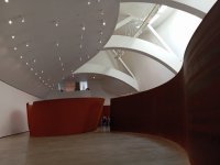 IMG_20240810_171116.jpg