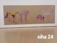 IMG_20240810_180804.jpg