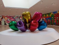 IMG_20240810_175658.jpg