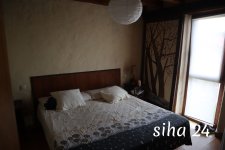 IMG_5560.jpg