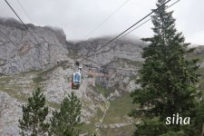 IMG_5662.jpg