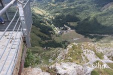 IMG_5670.jpg