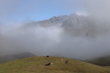 IMG_5690.JPG