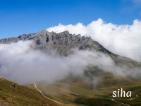 20240814-_1180777.jpg