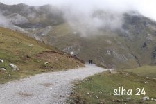 IMG_5704.jpg