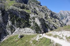 IMG_5739.jpg
