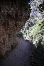 IMG_5782.JPG